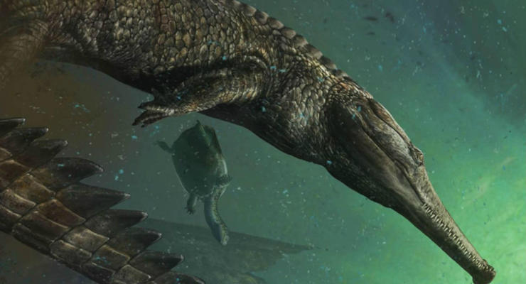 Палеонтологи нашли череп крокодила с "оскалом" млекопитающего