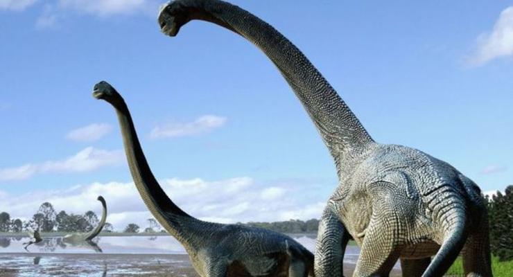 В Австралии открыли новый вид динозавров
