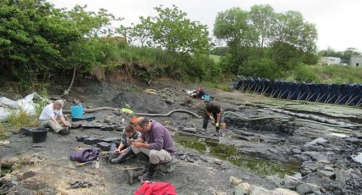 Найдены останки существ, первыми на планете выползших на сушу
