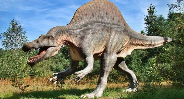 Ученые назвали новую причину вымирания динозавров