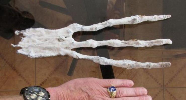 В пещере Перу обнаружили руку загадочного существа с тремя пальцами
