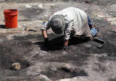 В Аргентине найден загадочный древний организм возрастом более 500 млн лет