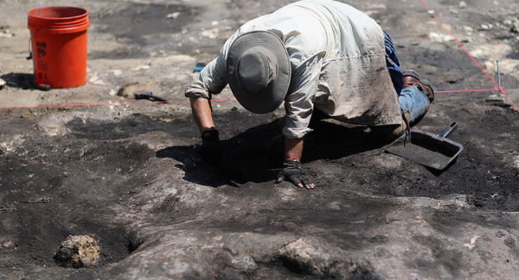 В Аргентине найден загадочный древний организм возрастом более 500 млн лет