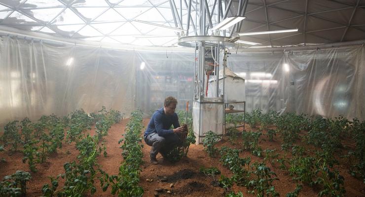 Ученые NASA планируют выращивать продукты питания на Марсе