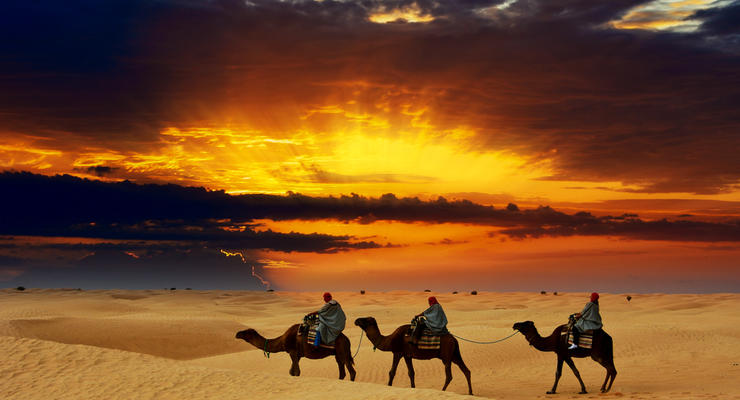 Сахара превратилась из зеленой равнины в пустыню из-за людей