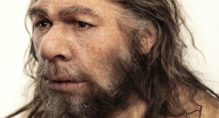 Что унаследовали люди от неандертальцев? Выводы ученых
