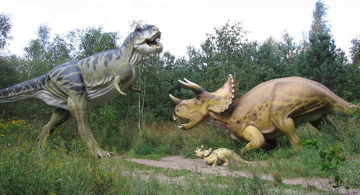 Динозавры заставляли млекопитающих вести ночной образ жизни