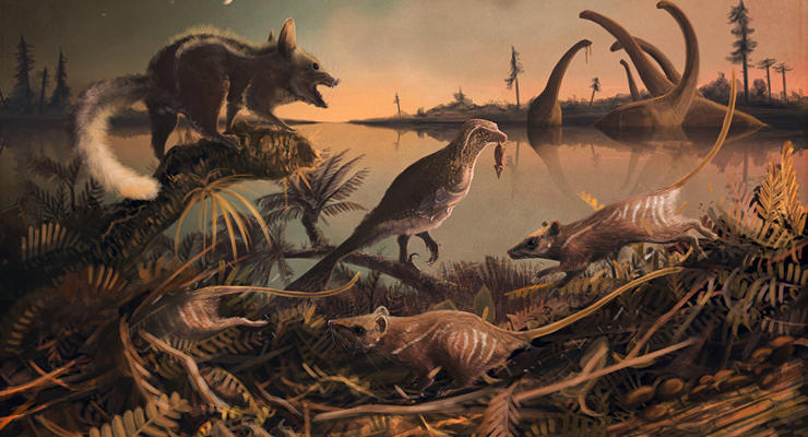 Найдены жившие при динозаврах прямые предки человека