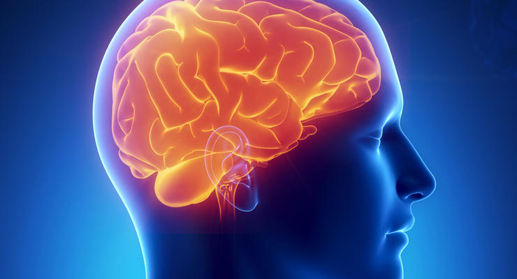 Для человеческой памяти создали мозговой имплантат