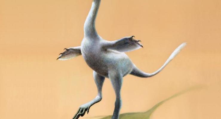 В монгольской пустыне обнаружили пернатого динозавра