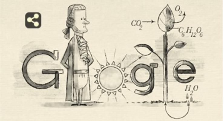 Google отметил день рождения первооткрывателя фотосинтеза