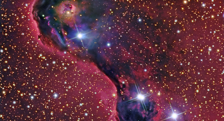 Астрономы получили снимок Хобота Слона