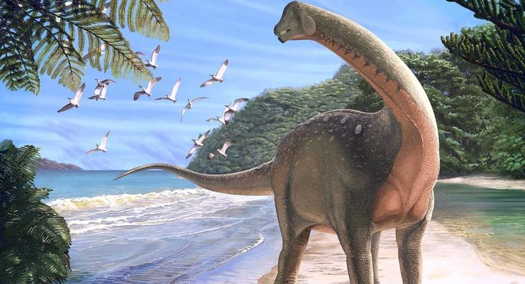 В Египте нашли ранее неизвестный вид динозавров