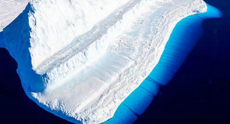 Под айсбергом в Антарктиде нашли неизвестную экосистему