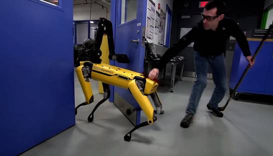 Робота-собаку научили сопротивляться человеку
