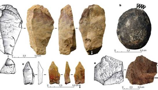 Найдены самые древние орудия труда