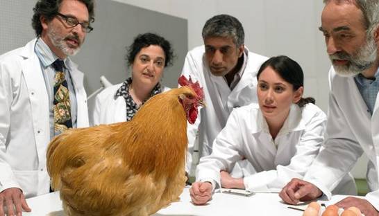 Мы не такие: Ученые высмеяли стоковые фотографии с учеными