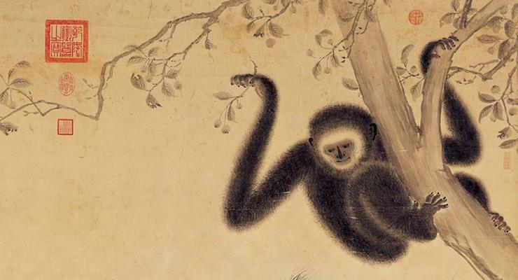 В гробнице императора нашли неизвестную обезьяну
