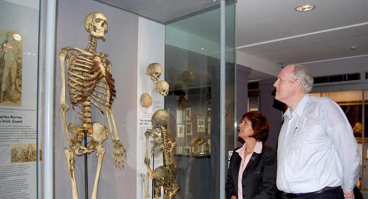 Скелет гиганта из музея похоронят спустя 200 лет
