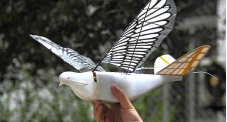 В Китае создали дрон-шпион, похожий на голубя