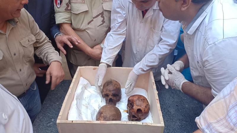 В черном саркофаге из Александрии нашли останки трех человек
