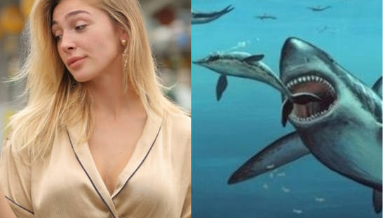 Видео дня: Ивлеева о сексе и гигантская акула