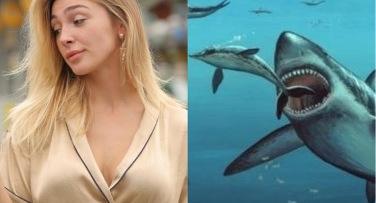 Видео дня: Ивлеева о сексе и гигантская акула