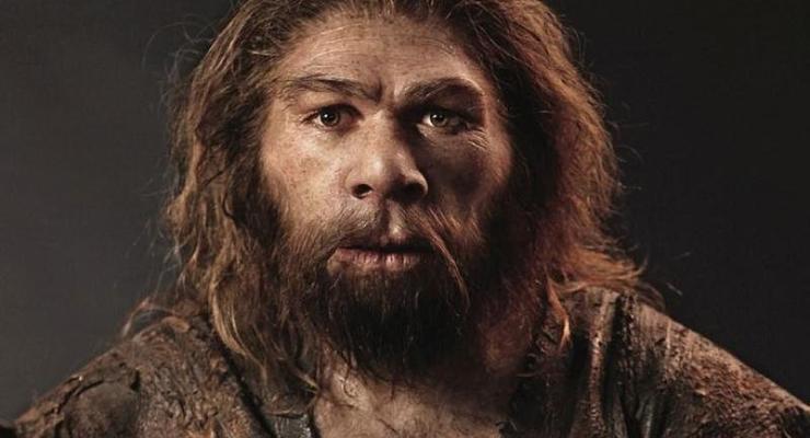 Неандертальцев убили холода - ученые