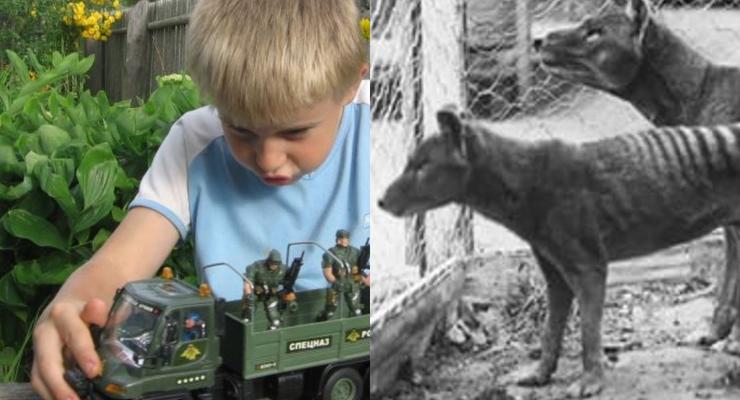 День в истории: 7 сентября - Последний сумчатый волк и уничтожение военных игрушек