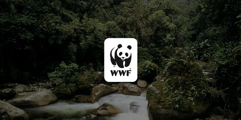 День в истории: 11 сентября - Запись человеческого голоса и появление WWF / worldwildlife.org