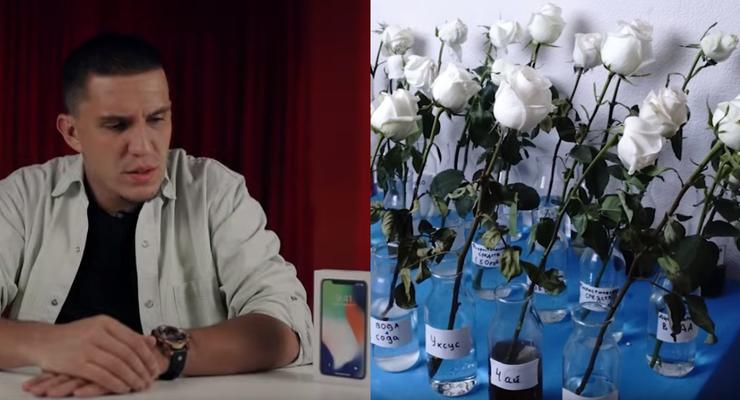 Видео дня: Розы в водке и самый дорогой IPhone