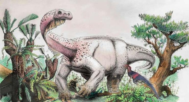 В Южной Африке нашли нового гигантского динозавра