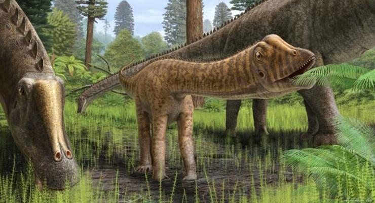 Череп молодого диплодока помог понять диету динозавров