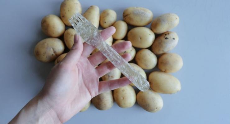 Замена пластика: Студент создал крепкий материал из картофеля