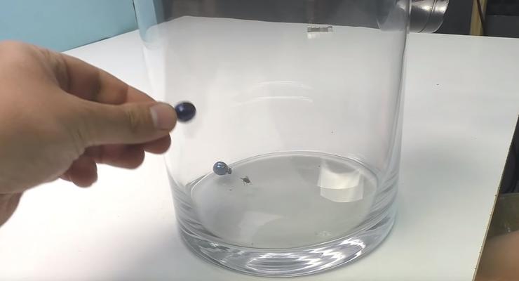Может ли муха летать в вакууме: Эксперимент блогеров