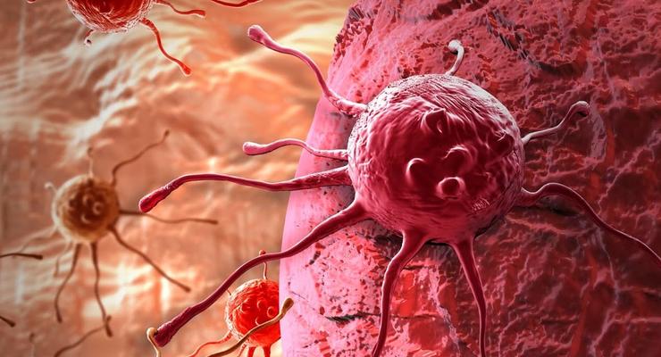 Ученые обнаружили способность организма бороться с раком