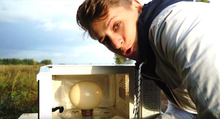 Микроволновка против страусиного яйца: Эксперимент