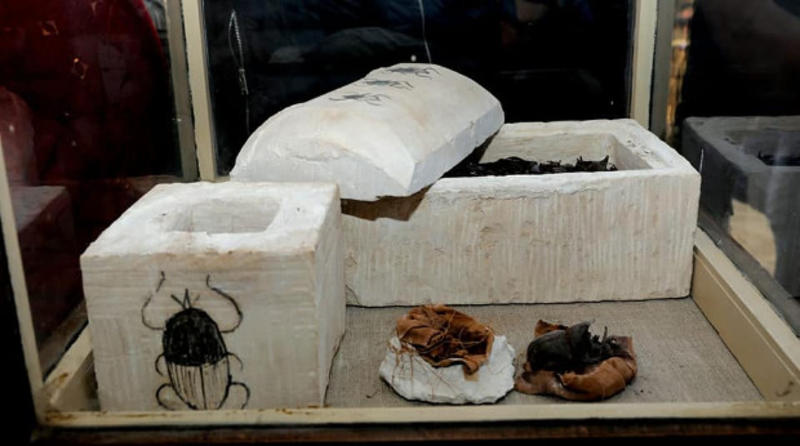 В Египте нашли гробницы с мумиями кошек / Ministry of Antiquities of Egypt