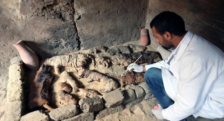 В Египте нашли гробницы с мумиями кошек