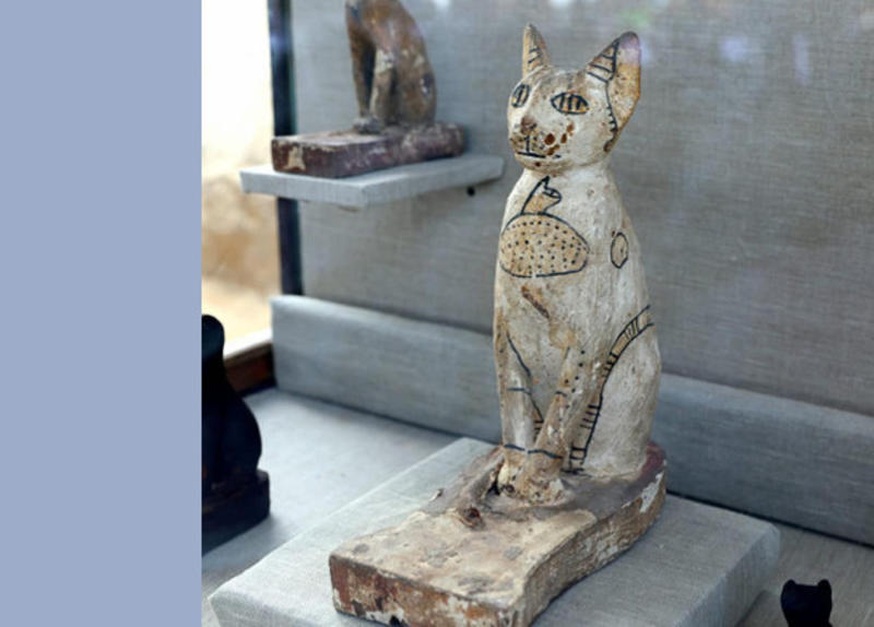 В Египте нашли гробницы с мумиями кошек / Ministry of Antiquities of Egypt