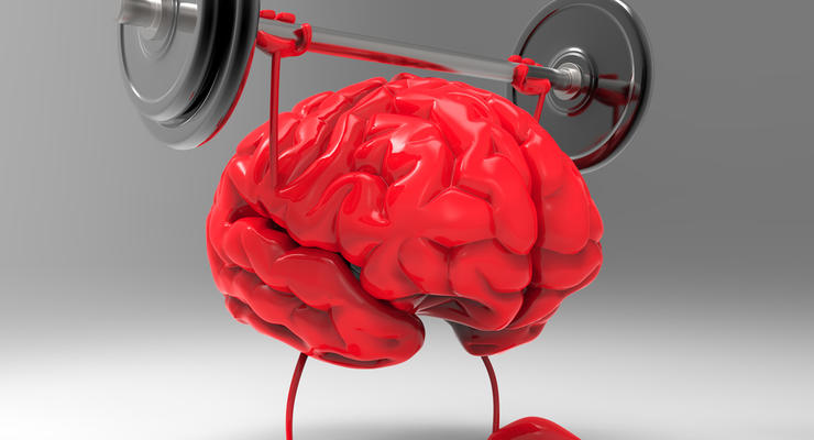 Тест: Все ли вы знаете о мозге?