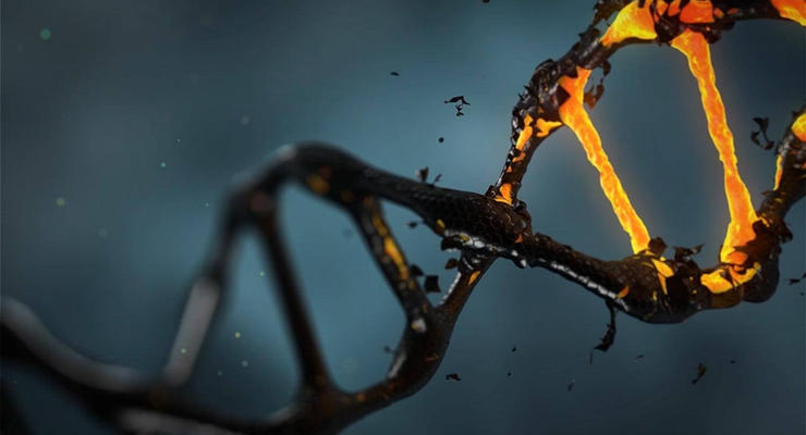 Генетики опровергли миф о ДНК