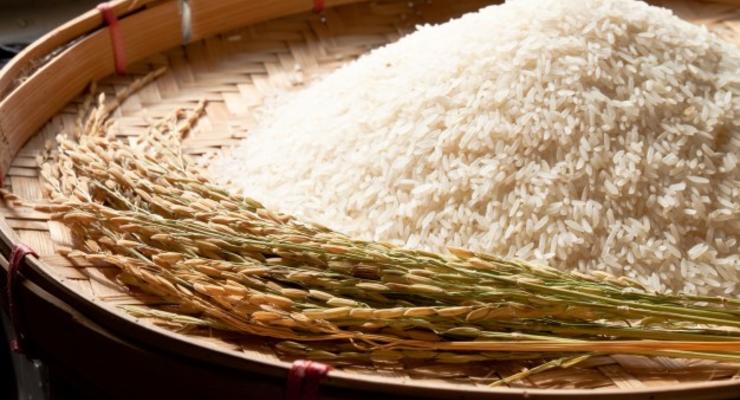 Рис признали опасным для здоровья