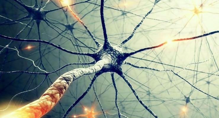 Найдены нейроны ошибок, которые помогут победить эпилепсию