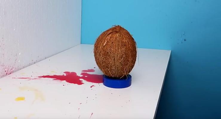 Мини-арбалет против кокоса: Эксперимент блогеров