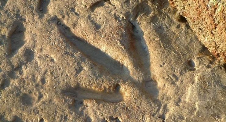 Найдены следы лап семи динозавров