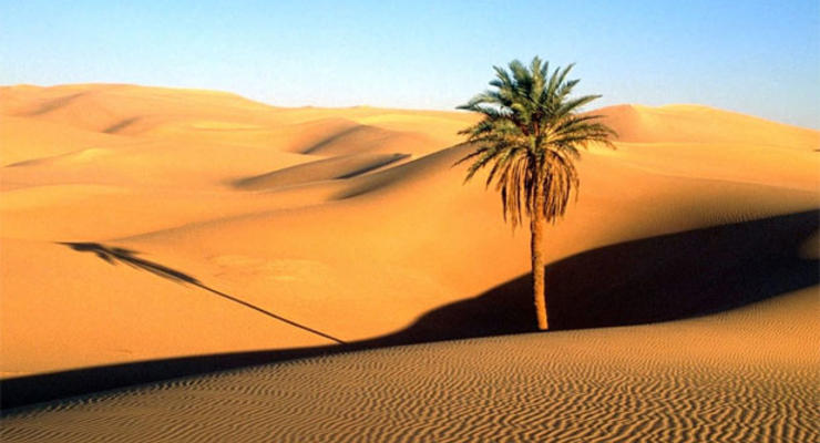 Причину глобального потепления нашли в Сахаре
