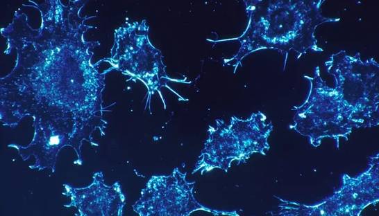 В Израиле пообещали полноценное лекарство от рака