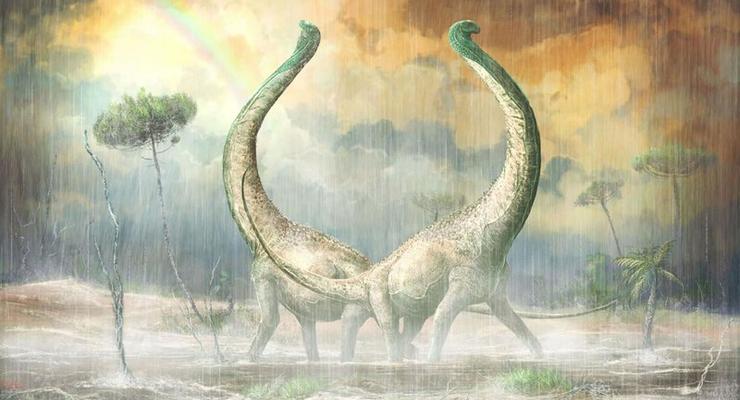 Открыт новый вид гигантских динозавров