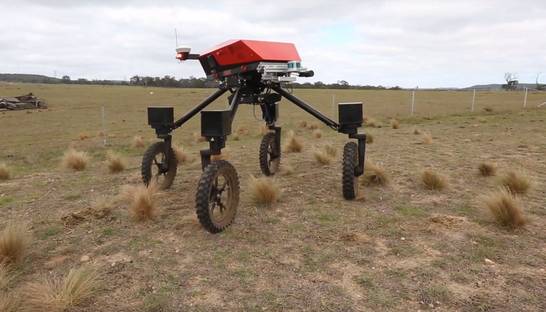 Роботов научили самостоятельно уничтожать сорняки